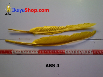 bulu angsa besar ABS 4   feather  large2